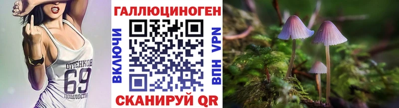 кракен ONION  Черемхово  Галлюциногенные грибы Psilocybine cubensis 