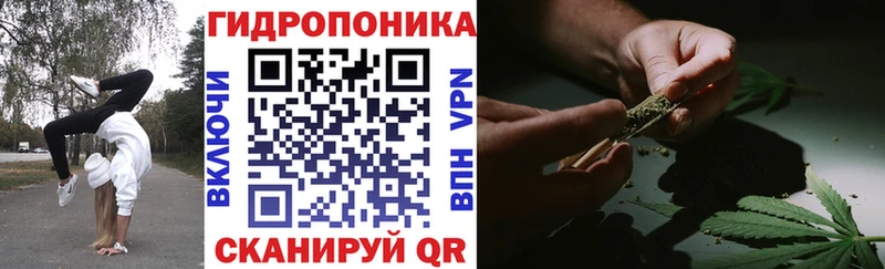 Каннабис план  hydra ССЫЛКА  Черемхово 